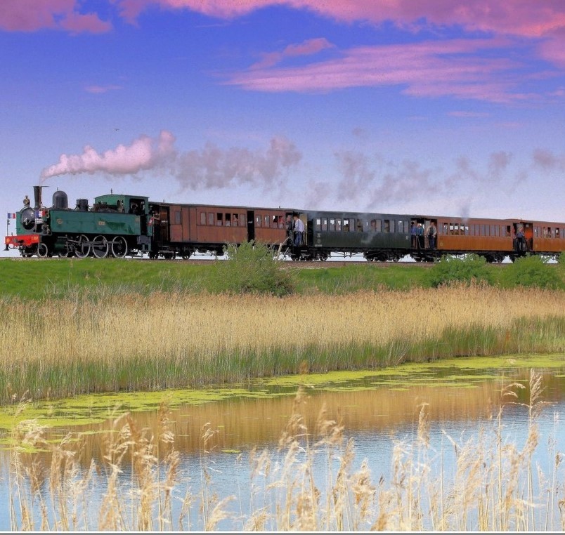 Petit train
