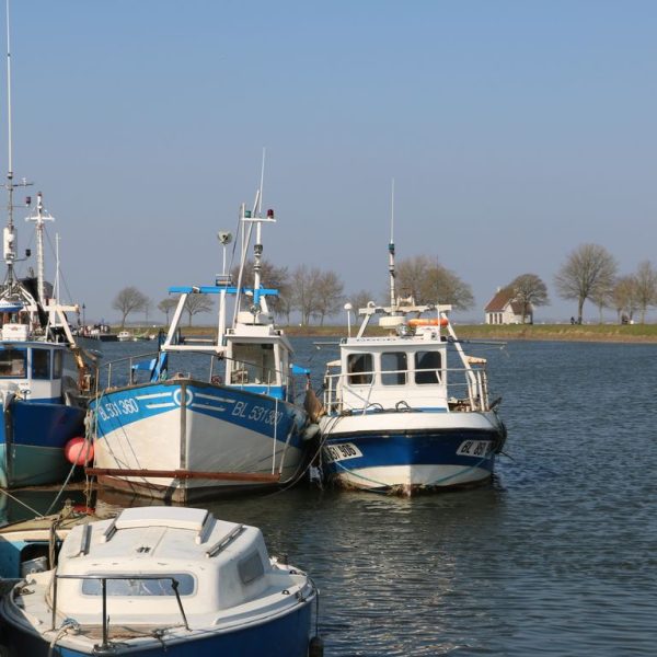 1026e068-2264-4e6e-ac99-a830318508c5.c10