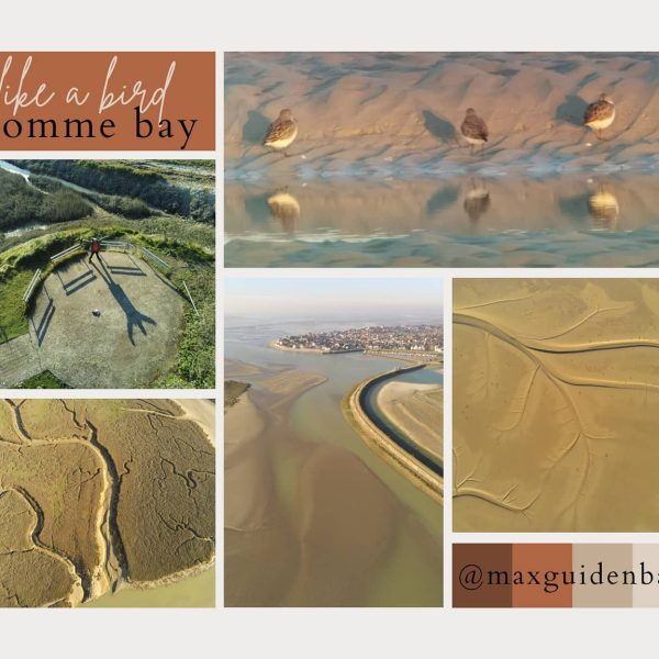 127813714_3517388474995256_45825535061224772_n