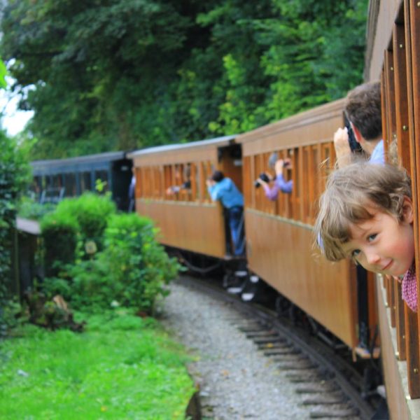 1974196_607474445990058_59467635_o