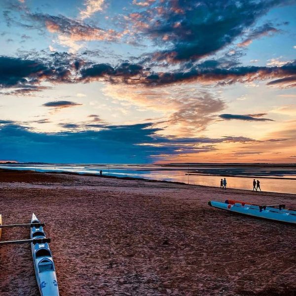 241060985_4705318129498728_3436105314560250999_n