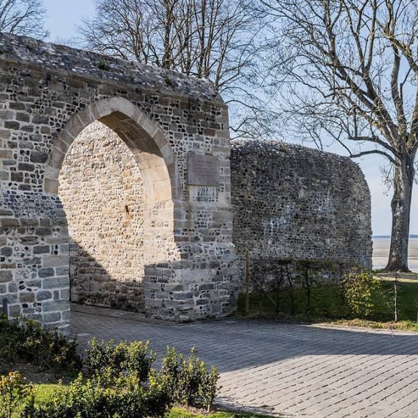 274719541_5335758236454711_638910609946014286_n