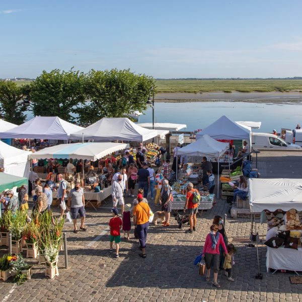 279493792_5495820653781801_1328056968806750761_n