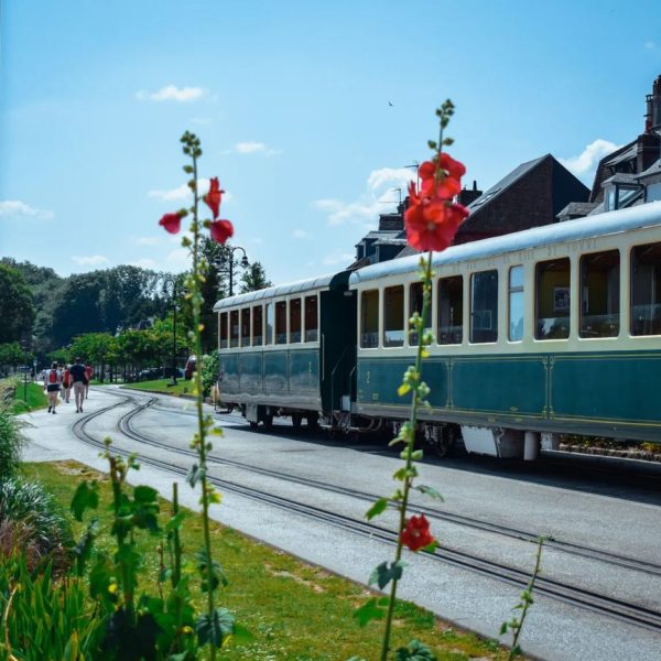 319992649_408332454774764_8831956739354839437_n