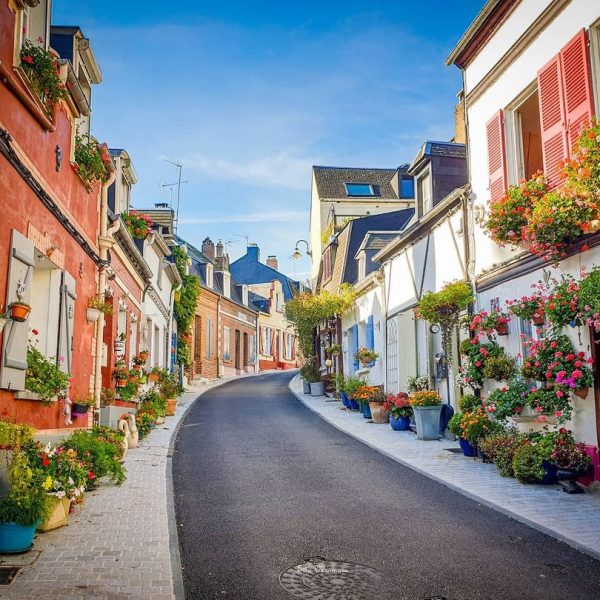 338901950_746376987010099_2439079316527651396_n