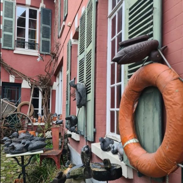 338952225_924133568736351_2080685388017415743_n