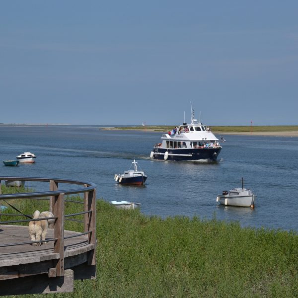 StValery-charcotSommeTourisme-CP73