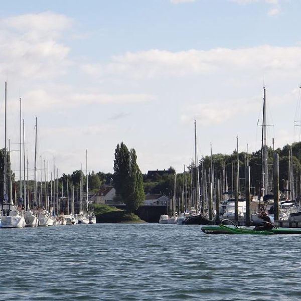 bccf94f5-a0c7-4866-957a-93e1a9991746_1